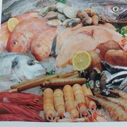 Horario de apertura Pescados Miguel Ferrer, Alzira