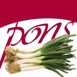 Horario de apertura Cansaladeria Pons, Valls