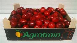 Horario de apertura Frutas Agrotrain, Ricla