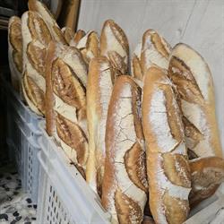 Horario de apertura Panaderia Moncayo, Tarazona