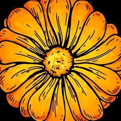 Horario de apertura Herboristeria Calendula, Sada