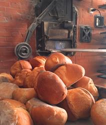 Horario de apertura Panaderia Blecua Rodellar, Villanueva de Sigena