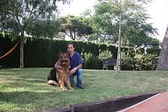 Horario de apertura Clinica Veterinaria Cardedeu, 