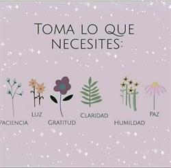 Horario de apertura Herbodietética El Nogal, Massamagrell
