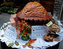 Horario de apertura PASTISSERÍA CONFITERÍA COSP, Puigcerdà
