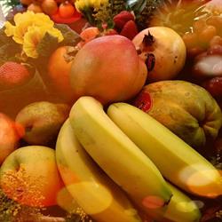 Horario de apertura Frutas Ortega, Girona