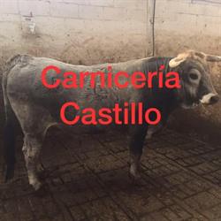 Horario de apertura Carnicería Castillo, Laredo