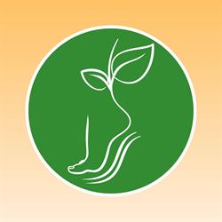 Horario de apertura Ortopedia Valmojado, 