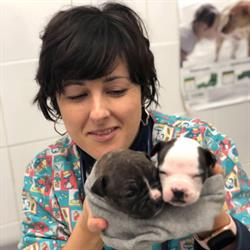Horario de apertura Centro Veterinario Vet-cas, Gilet