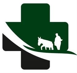 Horario de apertura Farmacia Montes. Ldos. Juan José Montés Alcántara y Javier Montes Salinero, La Zarza