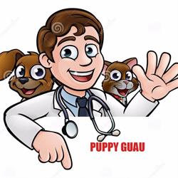Horario de apertura Mascotas Puppy Guau, Fuenlabrada