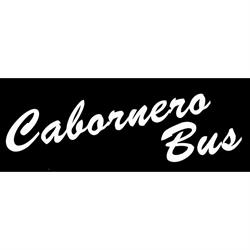Horario de apertura Cabornero Bus S.L, La Cistérniga