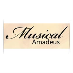 Horario de apertura Musical Amadeus, Coslada