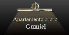 Apartamentos Turísticos Gumiel en Granada (Albaicín) - Horario de apertura