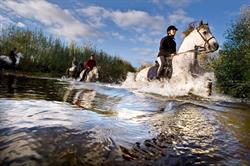 Horario de apertura Los Caballos de la Ribera, Huerta