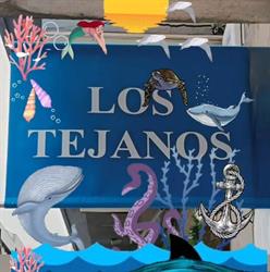 Horario de apertura los Tejanos, Baiona