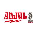 Horario de apertura Anjul Instalaciones, Zaragoza