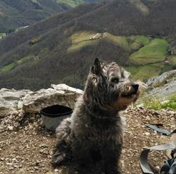 Horario de apertura Peluquería Canina OH La La, Avilés