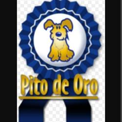 Pito De Oro en L'Arenal (Platja De Palma) - Horario de apertura