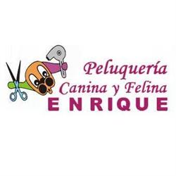 Peluquería Canina Y Felina Enrique en Granada (Centro) - Horario de apertura