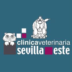 Horario de apertura Clínica Veterinaria Sevilla Este, 