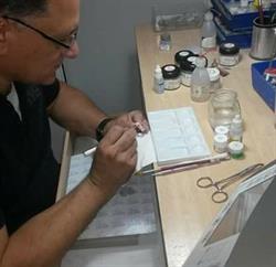 Horario de apertura Fbm Dental, San Jose de la Rinconada
