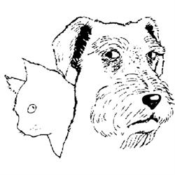 Horario de apertura Centro Veterinario la Serna, Fuenlabrada