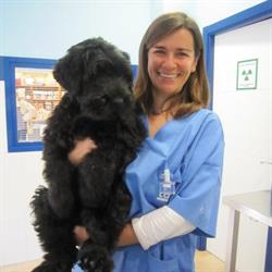 Horario de apertura Clínica Veterinaria Equus Can, Marbella