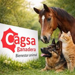 Horario de apertura Cagsa Ganadera Huelva, 