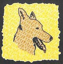 Horario de apertura Cave Canem, Blanes