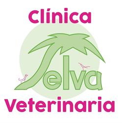 Horario de apertura Clínica Veterinaria Selva, Plasencia