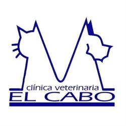 Horario de apertura Clínica Veterinaria El Cabo - Hospital veterinario urgencias 24h Alicante., Condomina