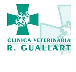 Horario de apertura Clínica Veterinaria Raquel Guallart, Castellón de la Plana