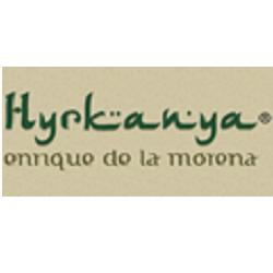Horario de apertura Ringcentral E Hyrkanya, Alcobendas