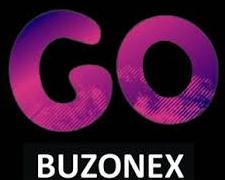 Horario de apertura Buzonex, S.l., Valencia