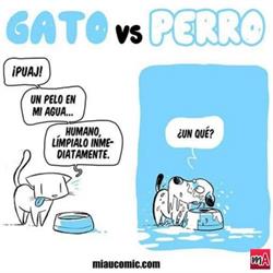 Horario de apertura Hospital Veterinario Balto, Churriana