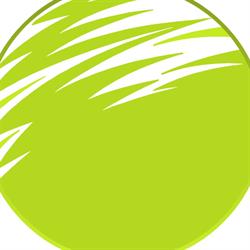 Horario de apertura La Llimona studio, Vilafranca del Penedes