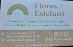 Horario de apertura Flores Estefani, Arenas de San Pedro