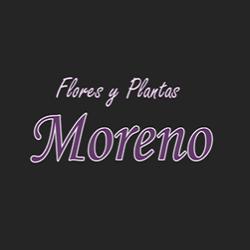 Flores y Plantas Moreno en Madrid (Tetuán) - Horario de apertura
