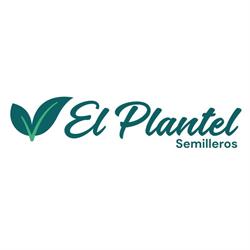 Horario de apertura El Plantel Semilleros, delegación La Mojonera, 