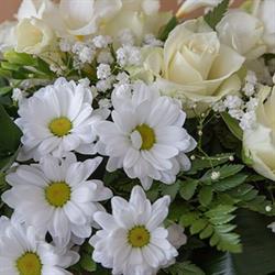 Horario de apertura Funeraria La Esperanza, Villanueva de Córdoba