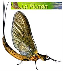 Horario de apertura Artículos de Pesca y Tiempo Libre La Picada, Torrelavega