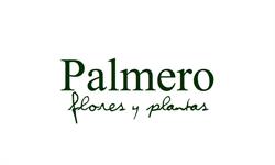 Horario de apertura Floristeria Palmero, Burgos