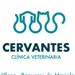 Horario de apertura Cervantes Clínica Veterinaria, Villena
