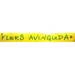 Horario de apertura Flors Avinguda, Palamós