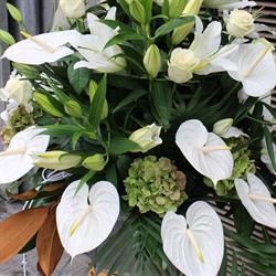 Floristeria Olimpia en Barcelona (Eixample) - Horario de apertura