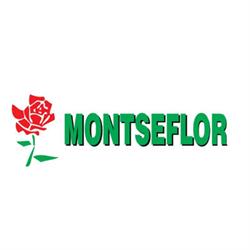 Horario de apertura Floristeria Montseflor, Almería
