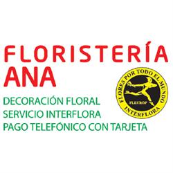 Horario de apertura Floristería Ana, Monforte De Lemos