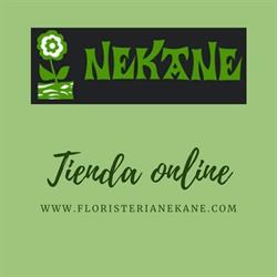 Horario de apertura Floristería Nekane, Pamplona