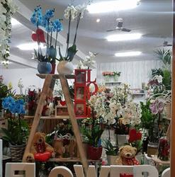 Horario de apertura Hormigos Floristas, Fuengirola